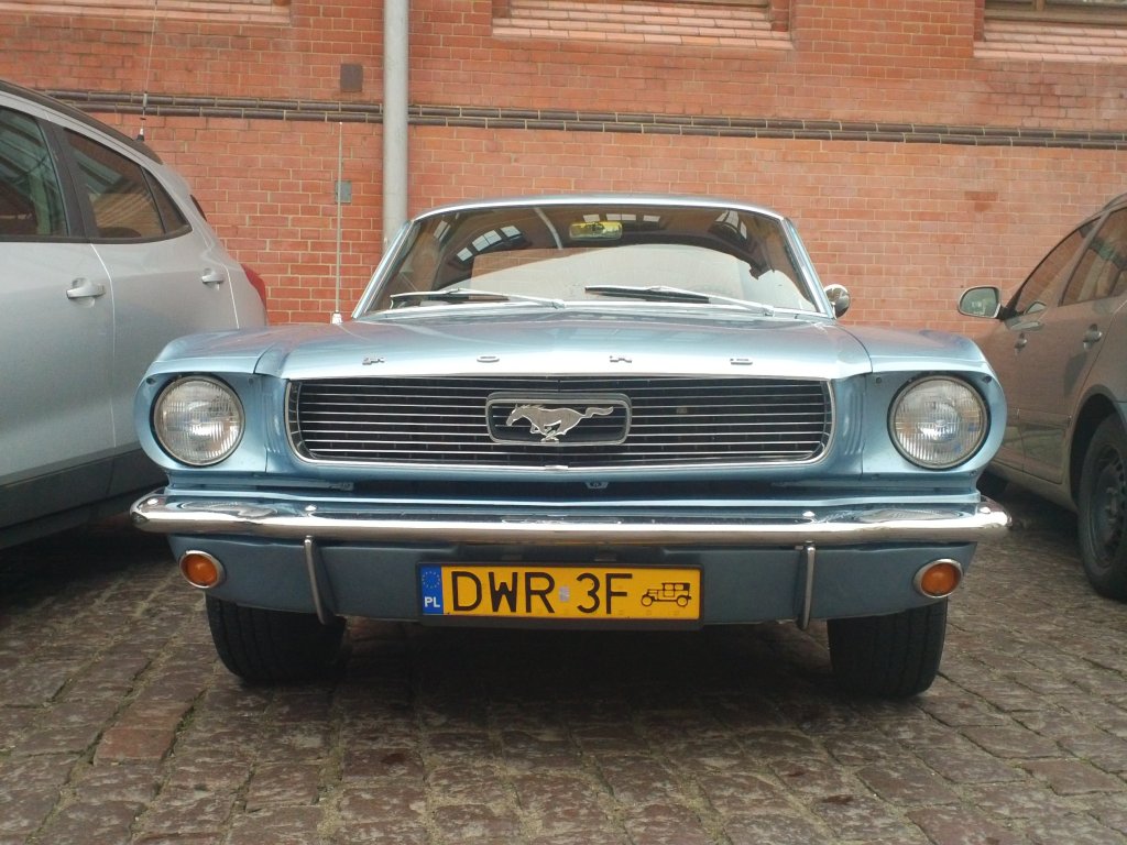 Mustang