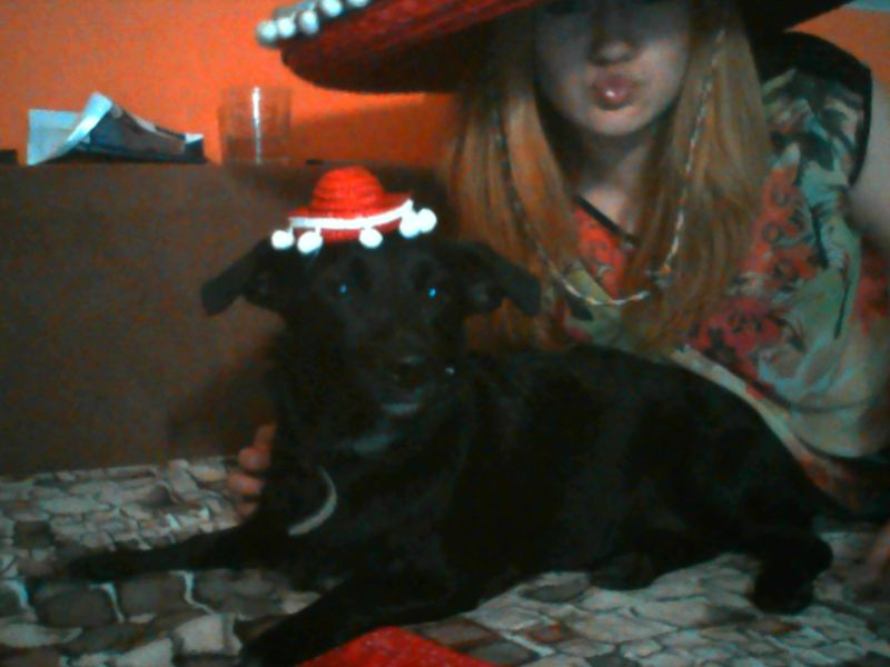 MY HISZPANIE.