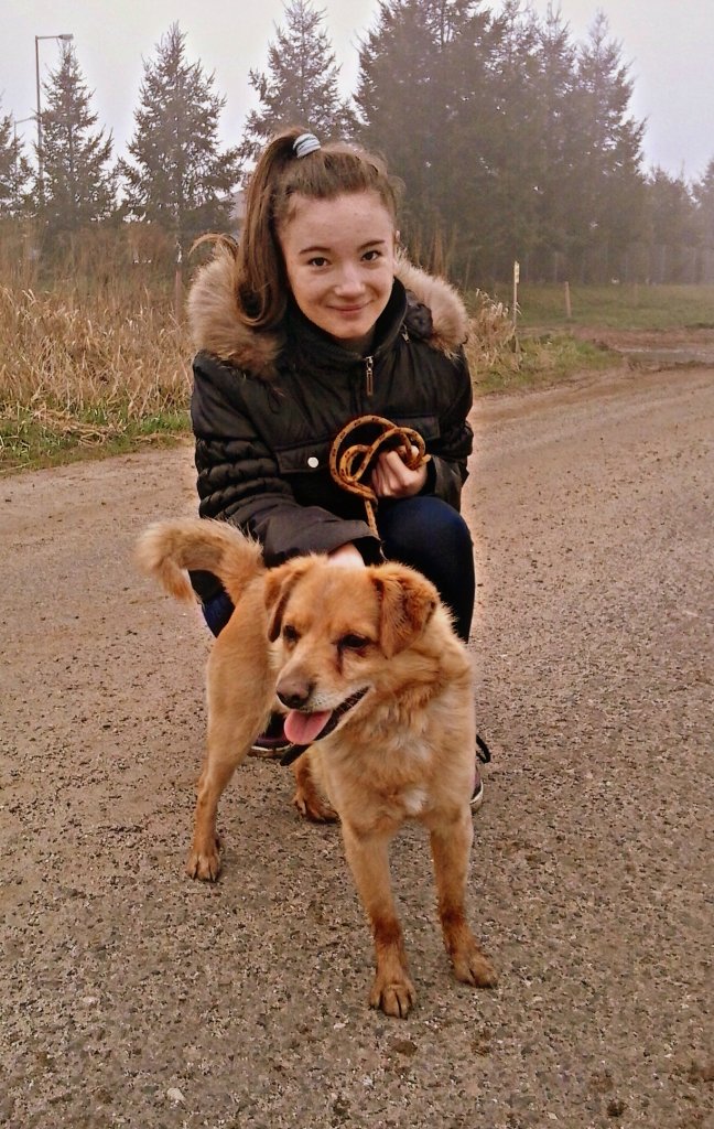27.04.2014r. psiaaaaak.