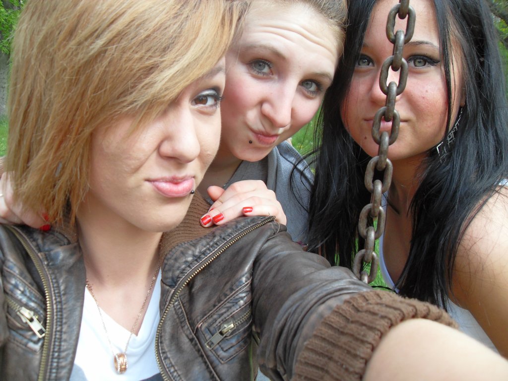 wf xdd 