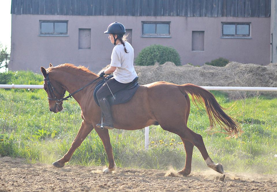 Bilard