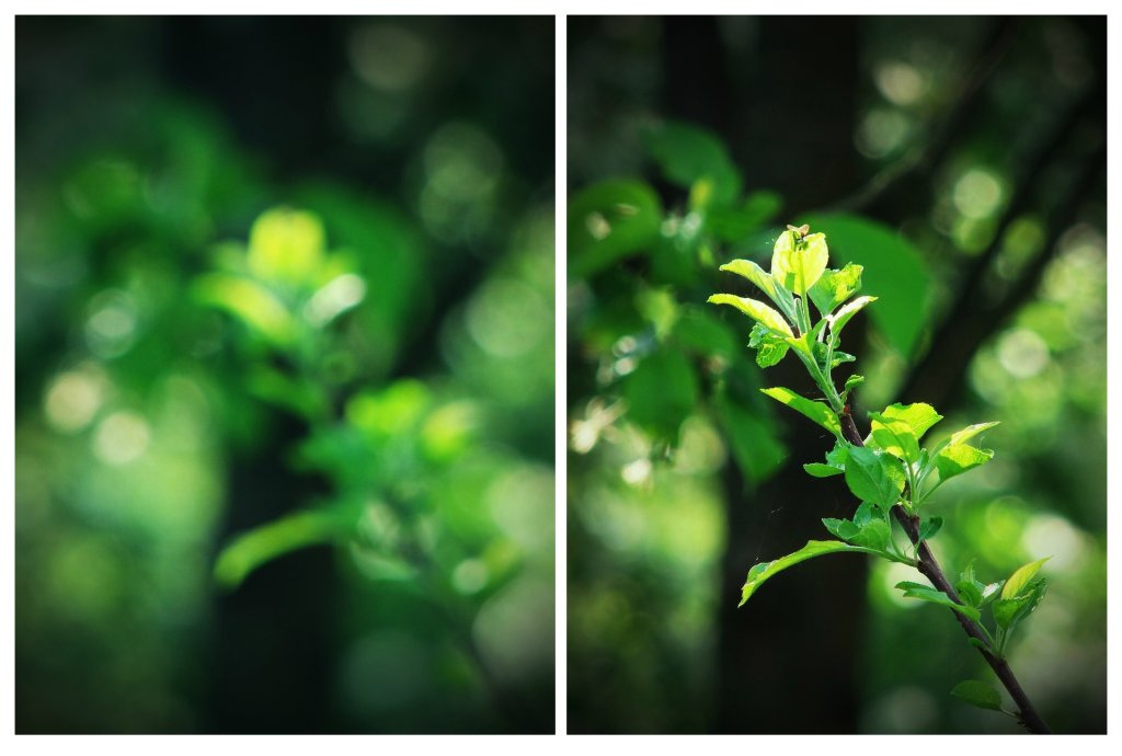 Green.