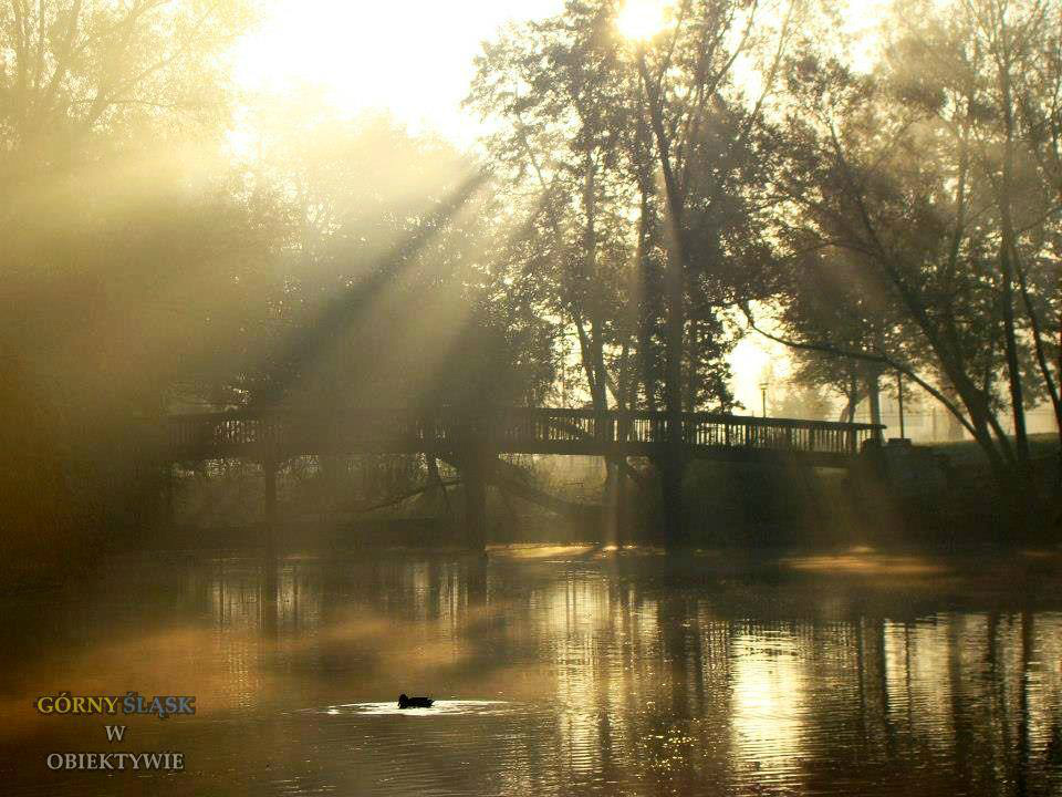 Park Miejski w Bytomiu 