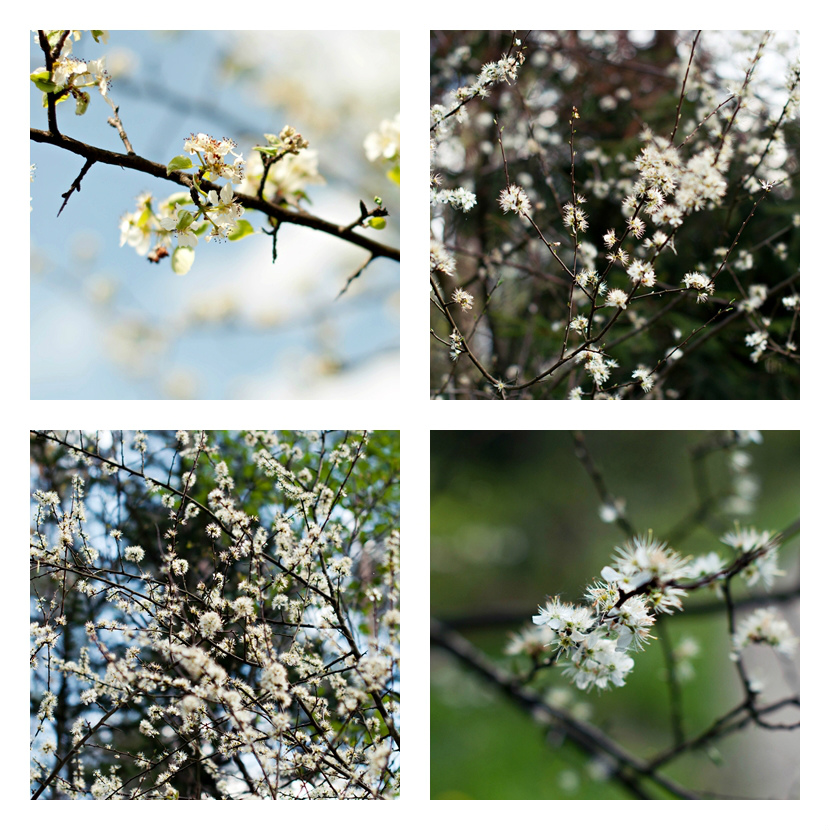 May
