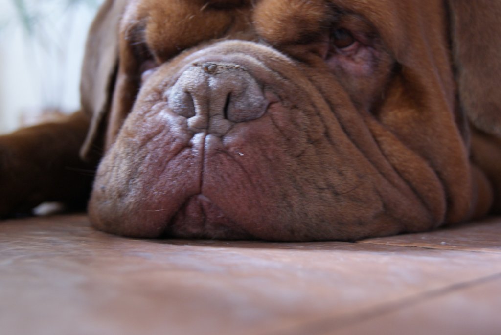 Zzz...