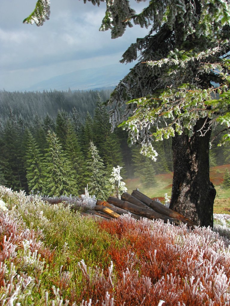 Beskidy!