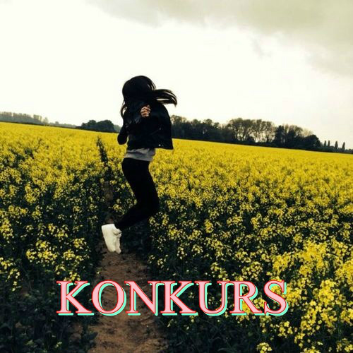 Konkurs