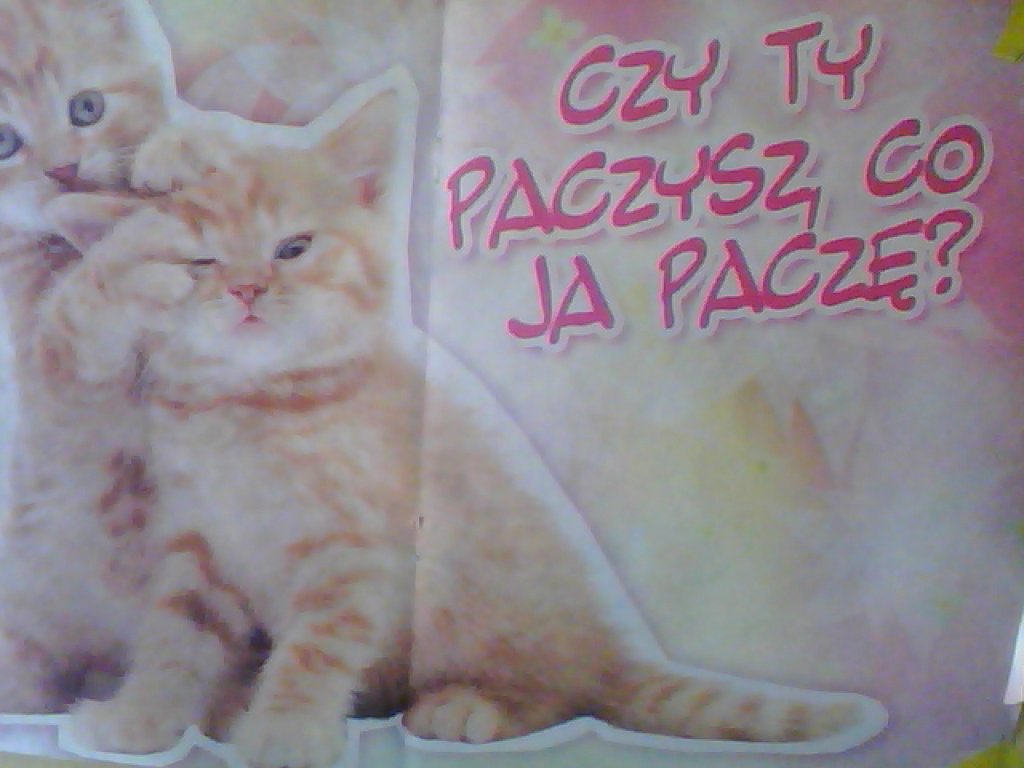 kotki nierosonczki