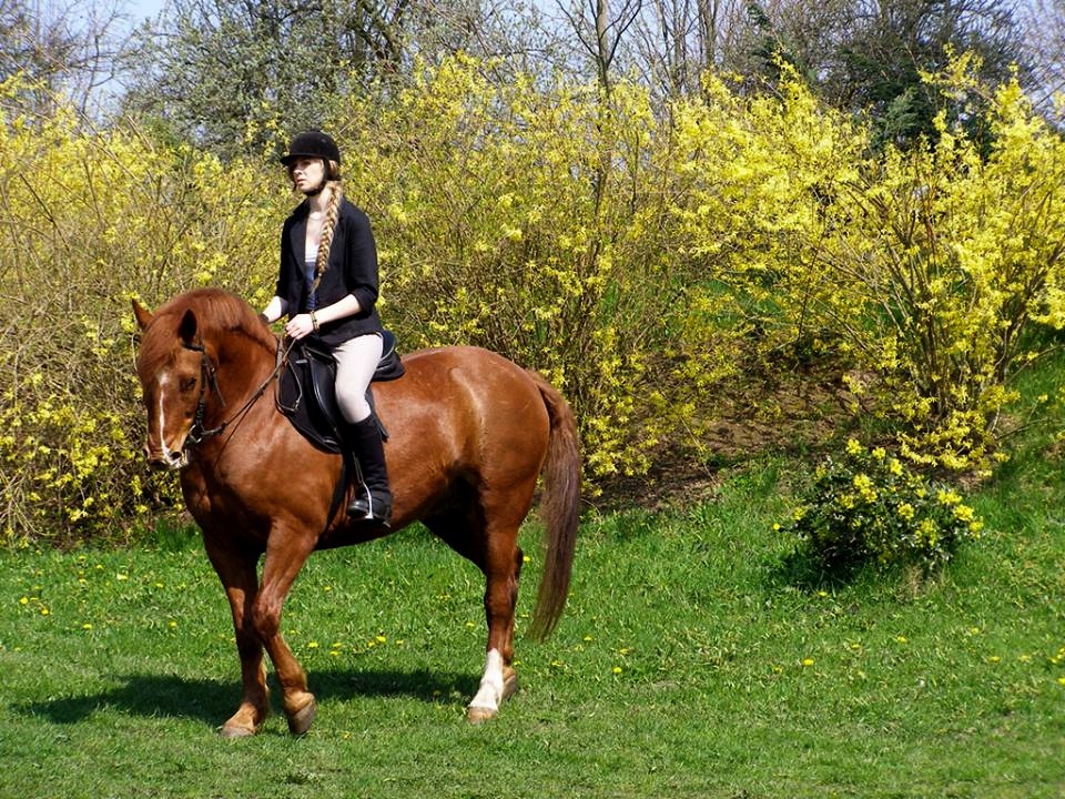 Karpno 