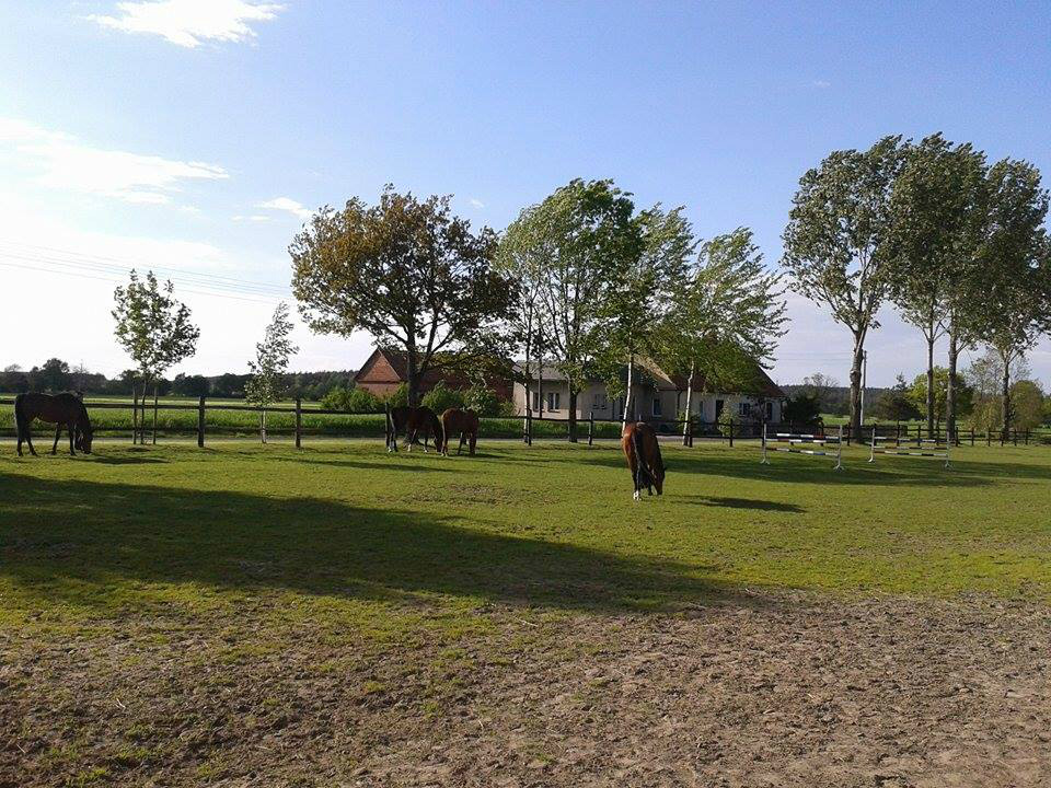Stadko