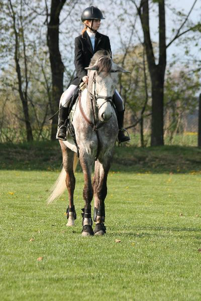Pietrowice