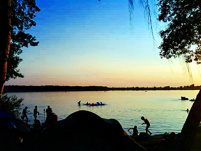 Firlej2012