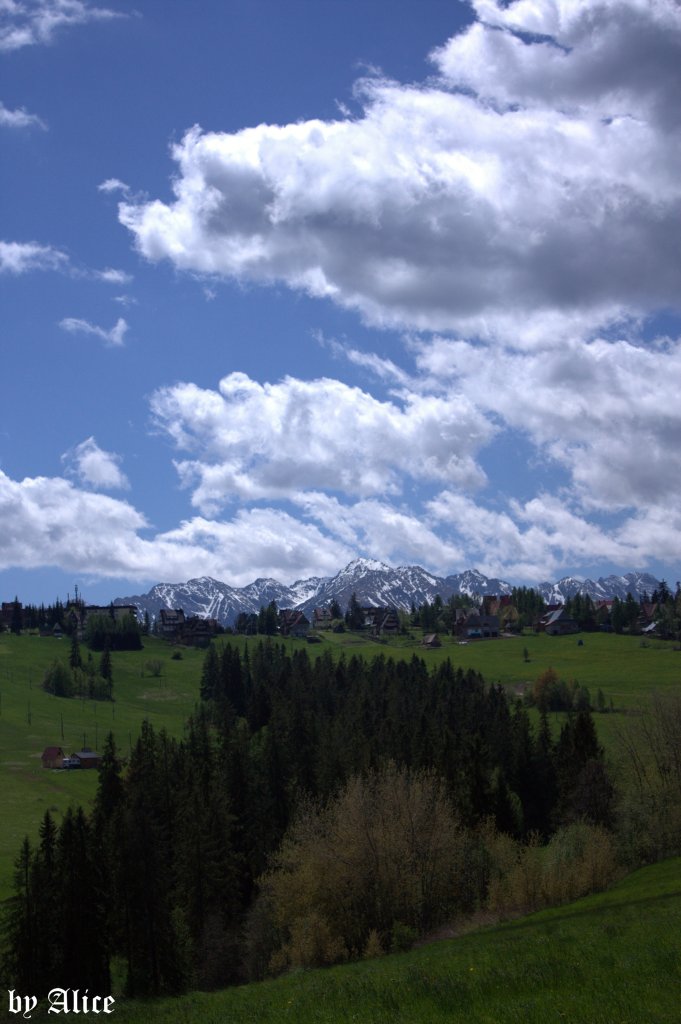 Bukowina