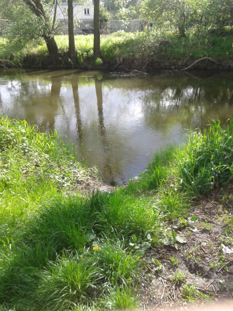 Rzeka Drwca 