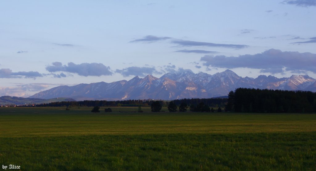 Nowotarskie..