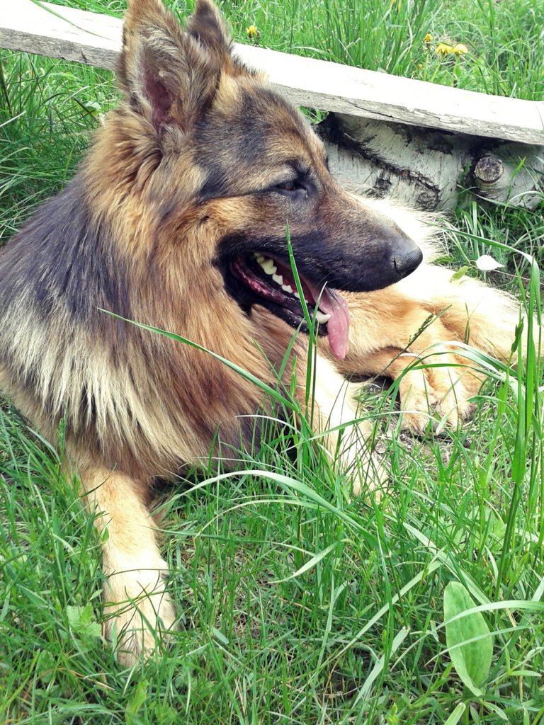 Nikoooo.:)