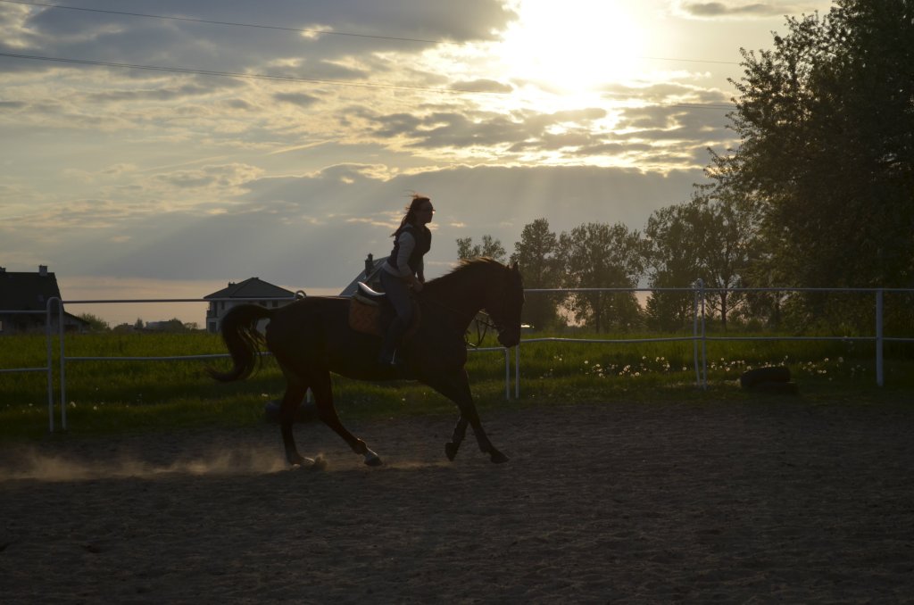 Arvi 