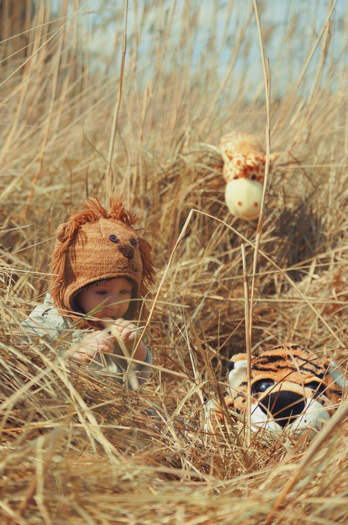 Safari :)