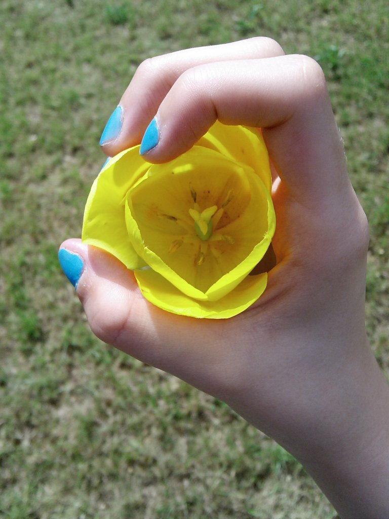 Flower