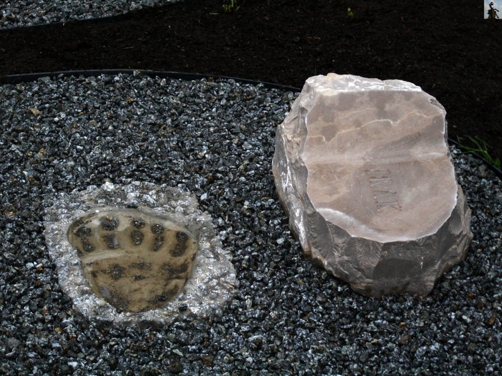 Pomnik "Wojtka"