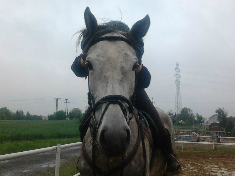 Uszy do przodu! :D