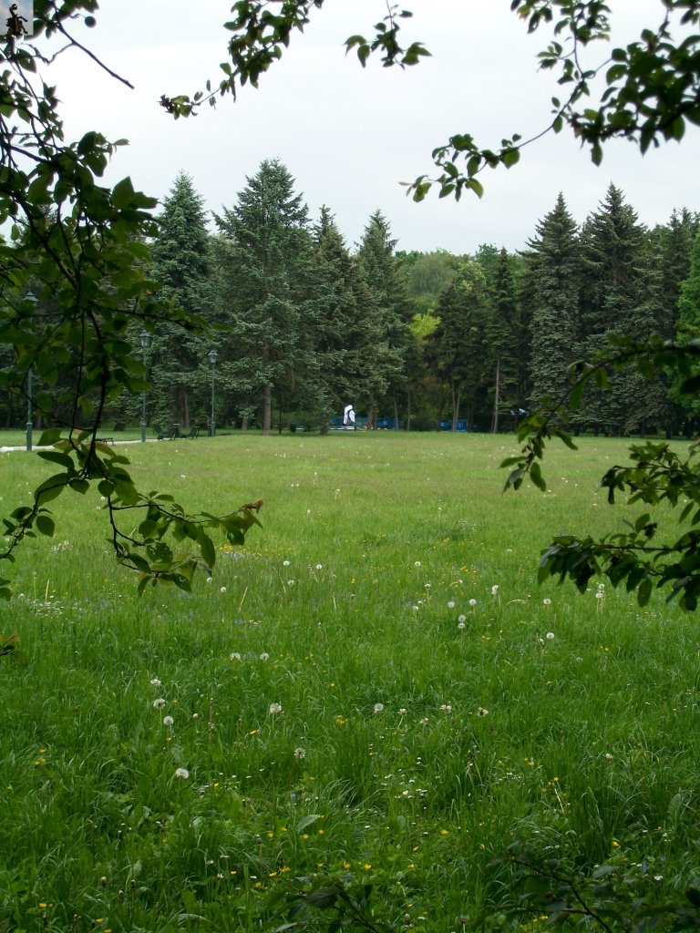 Pomnik "Wojtka" w Krak