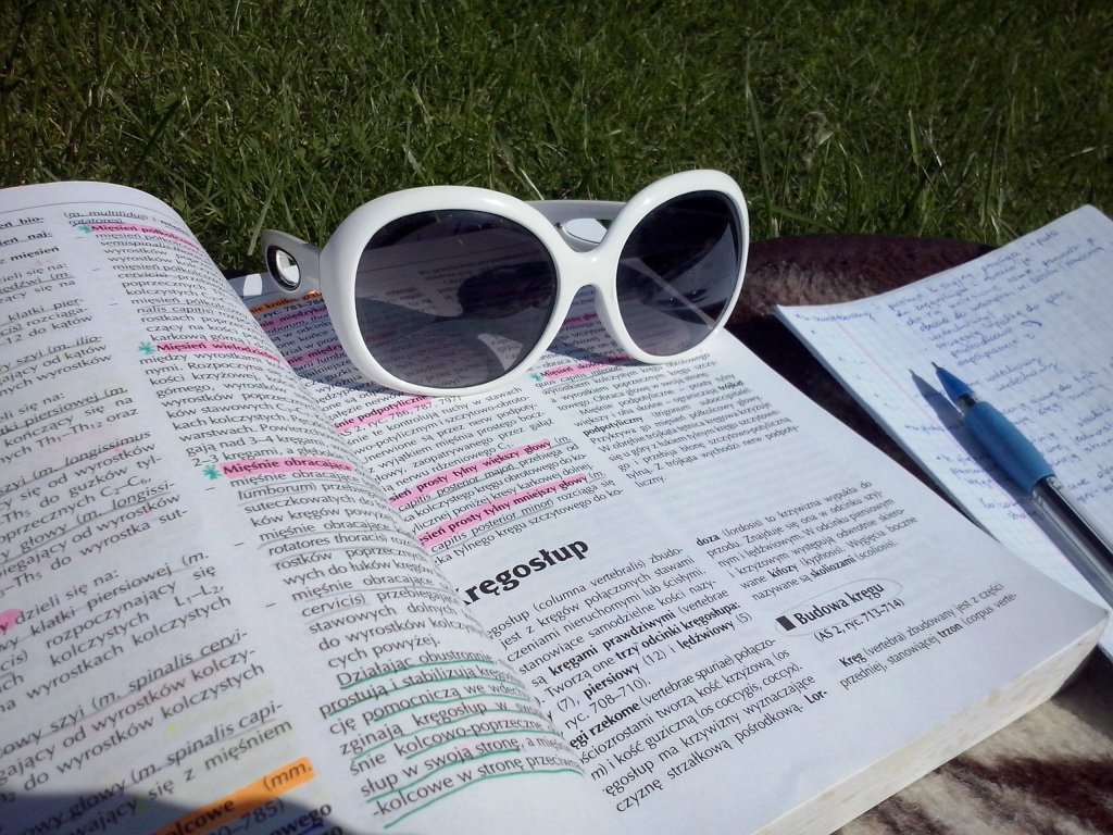 Smaing, plaing, studing...