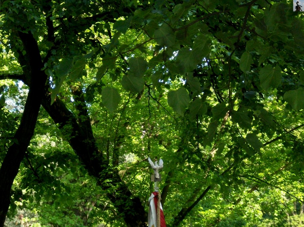 Pomnik "Wpjtka" w Krak