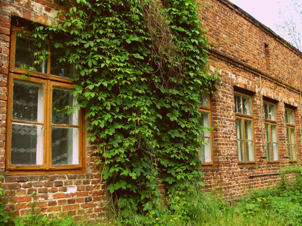 Sobota niedziel