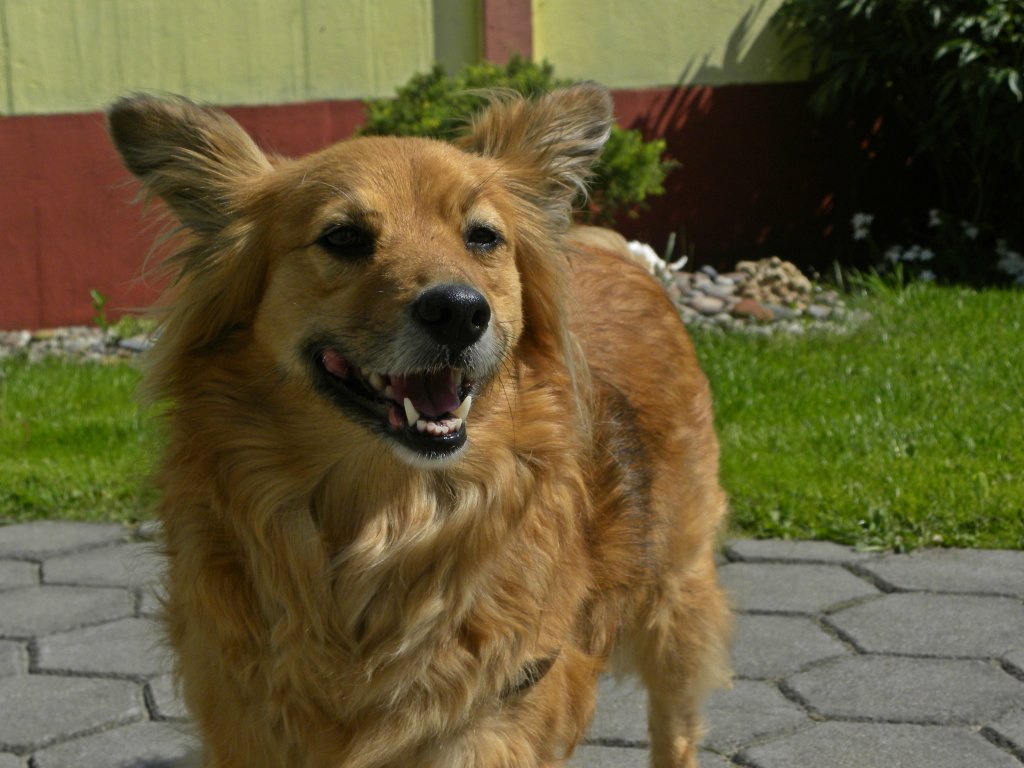 Bianka.