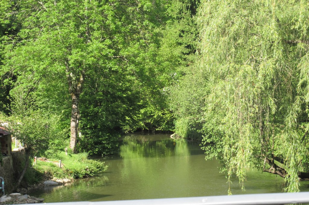 Przemylenia