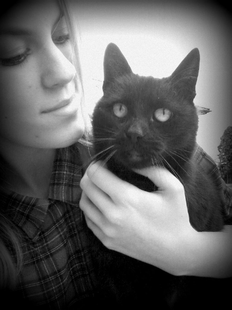 Kote 