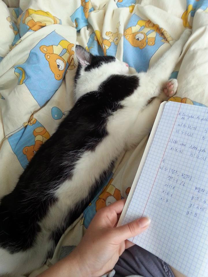 inaczej a jednak tak samo