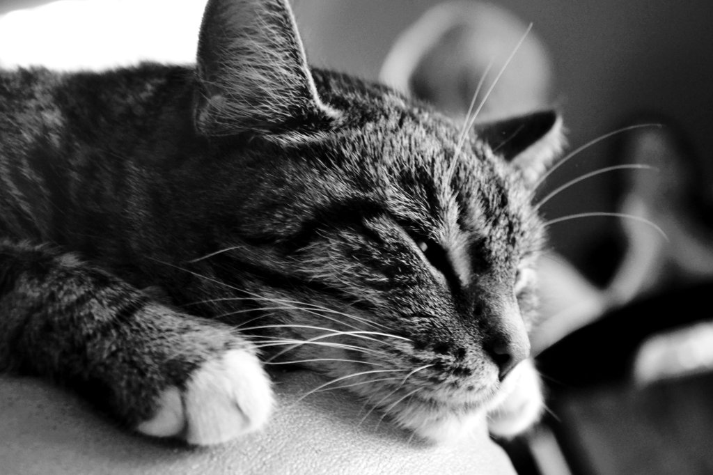 black&white