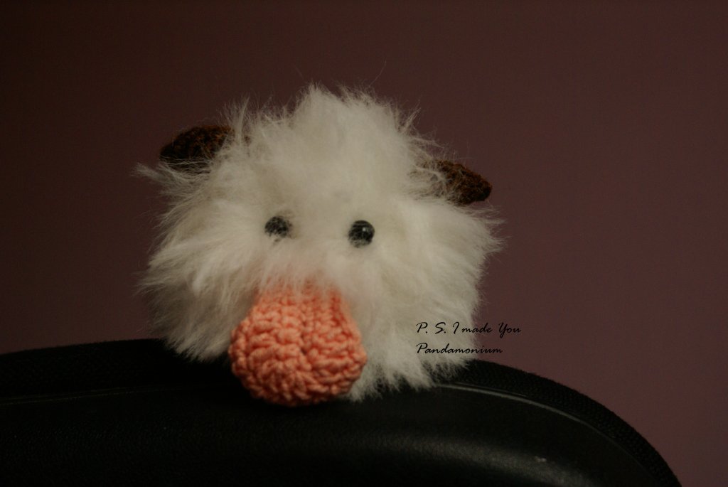 Poro