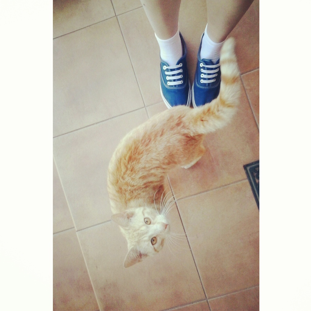 instagramowe.