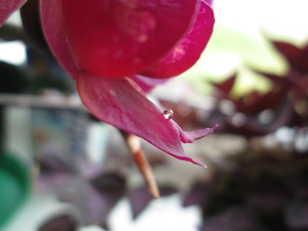 drop.