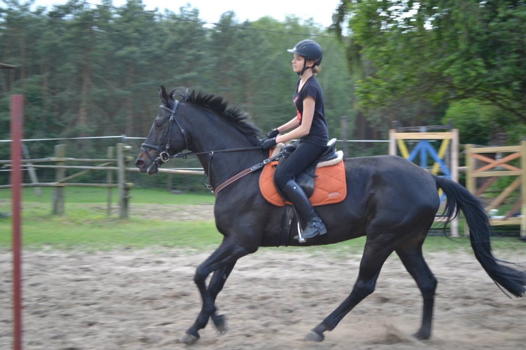 trening *.*
