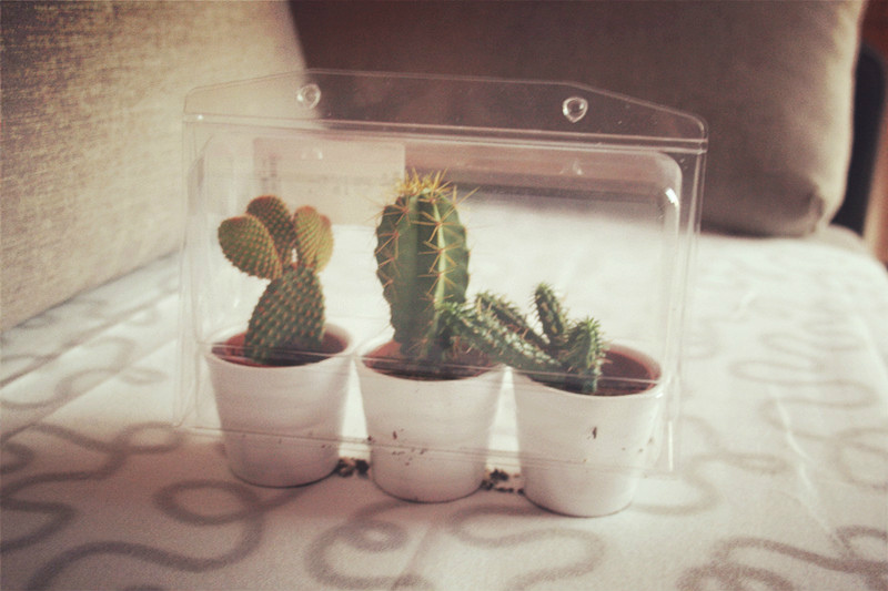 Soon I'll disappear...