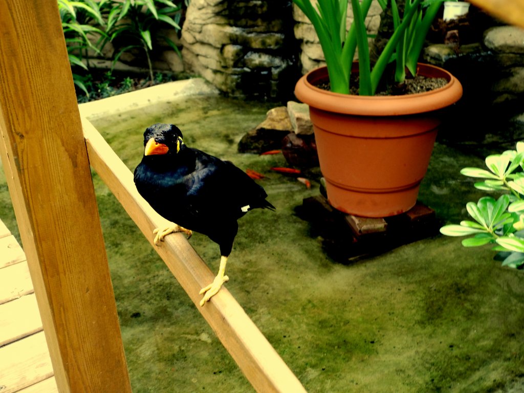 Zoo