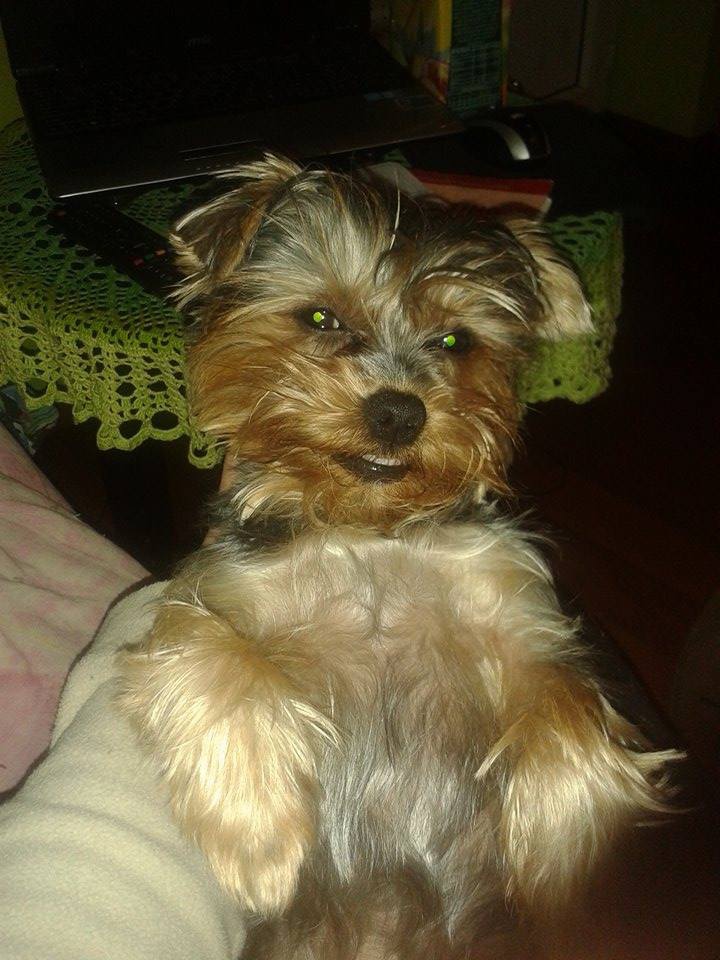 Pipi :)