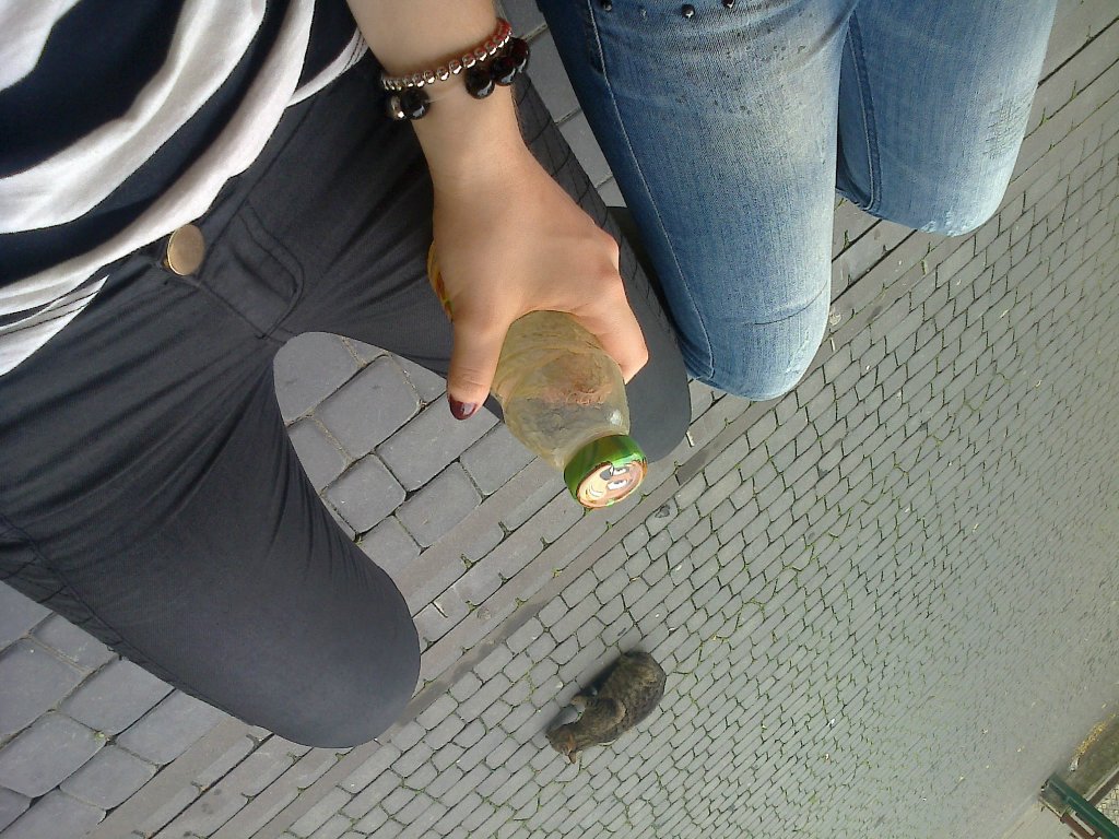 legs and cat 