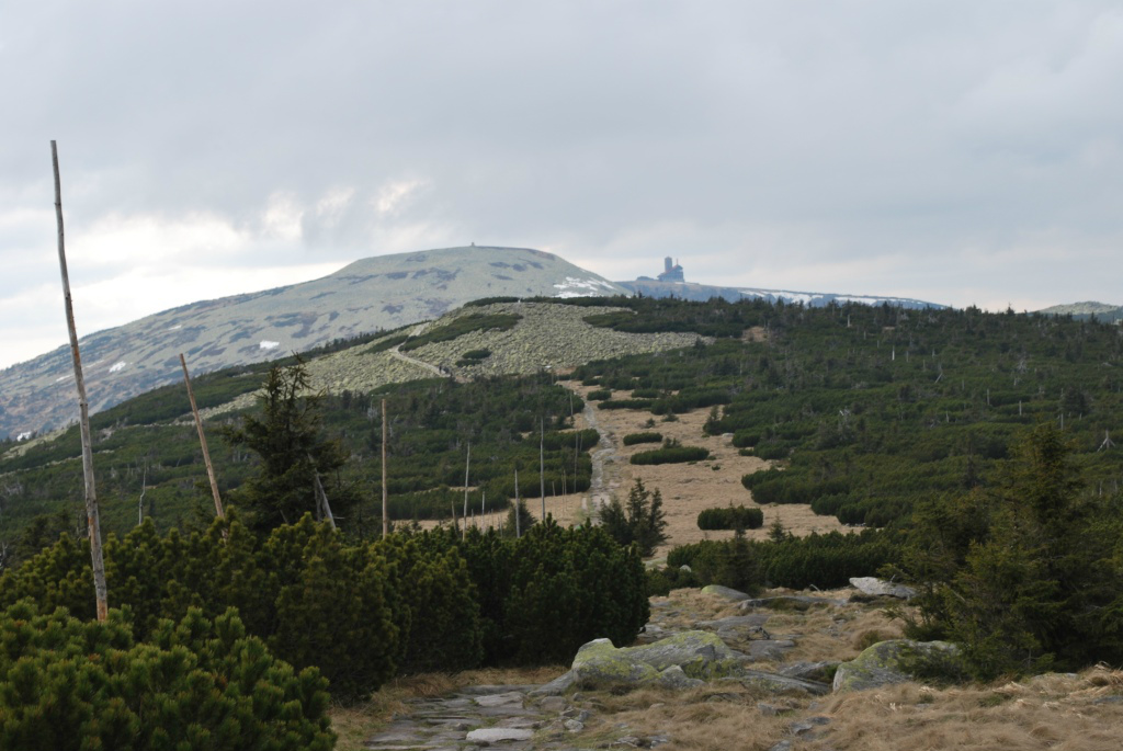 prodek to nie rodek