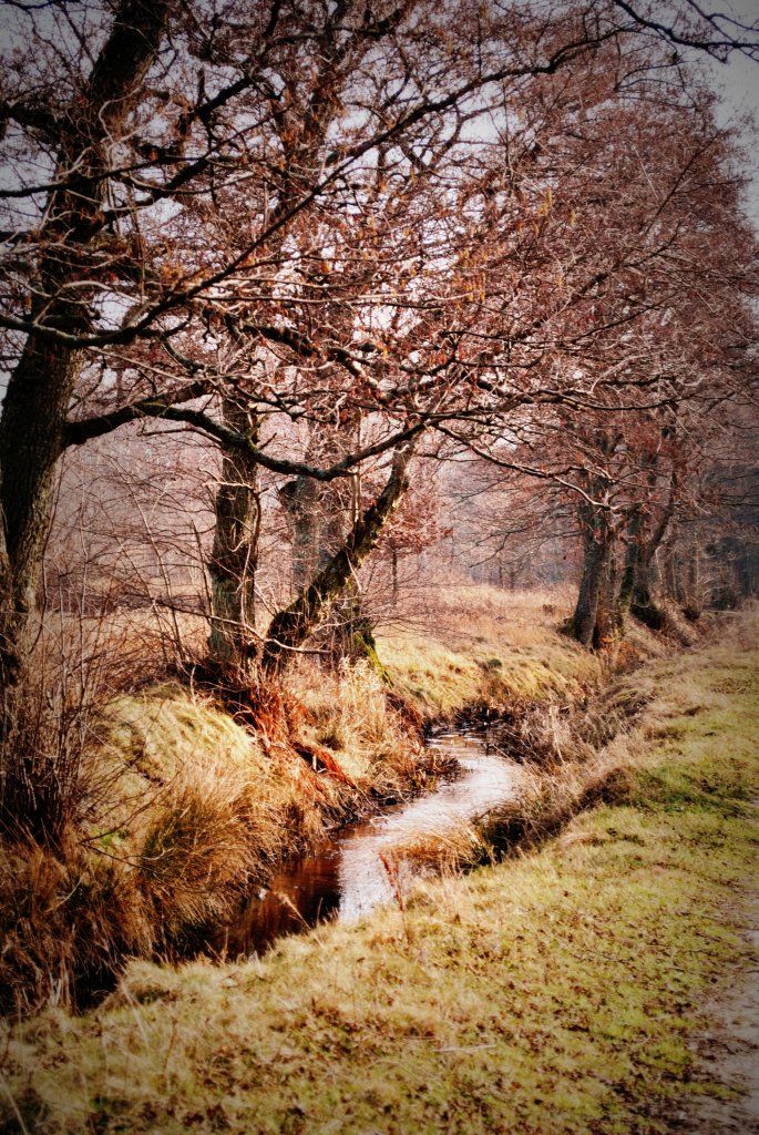 wiosna-2014