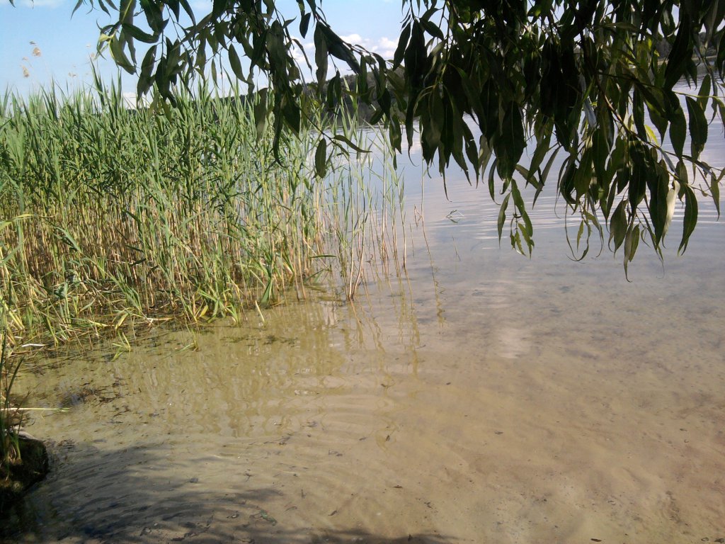 Super widok