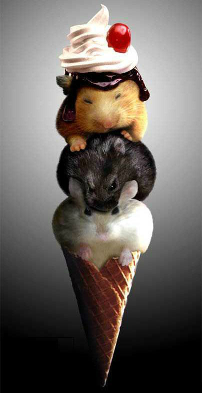FAJNE LODY