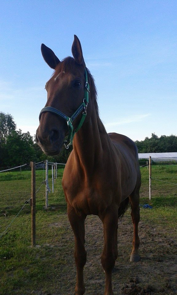 Milaa :)