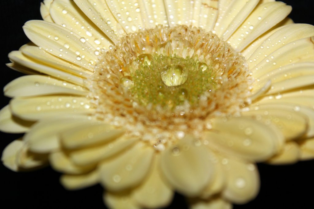 2.