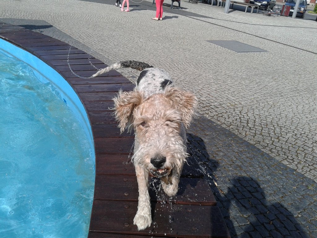 Cezary