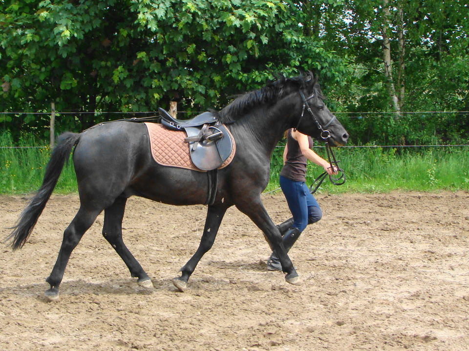 Winnetou